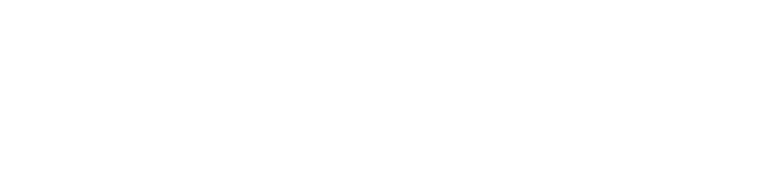 Monday.com-Logo-white
