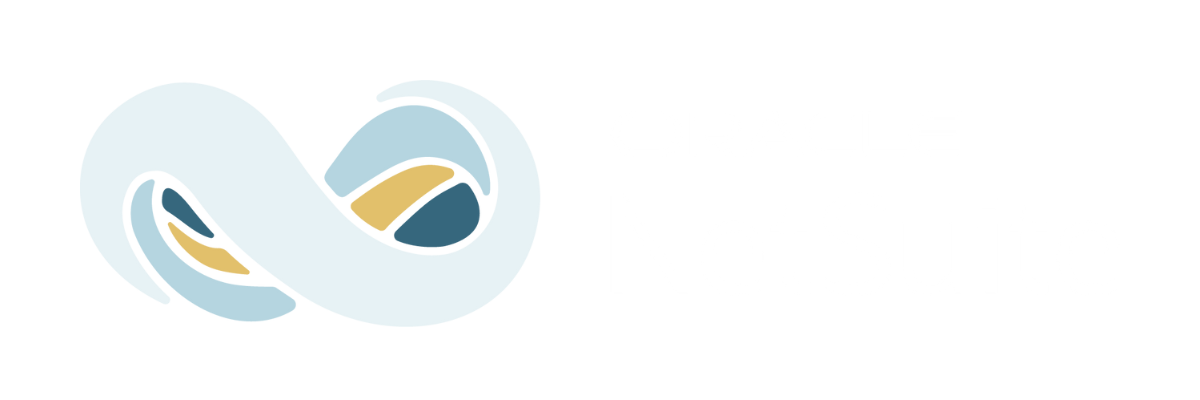 NetSuite (transparent)_yhsdy-1